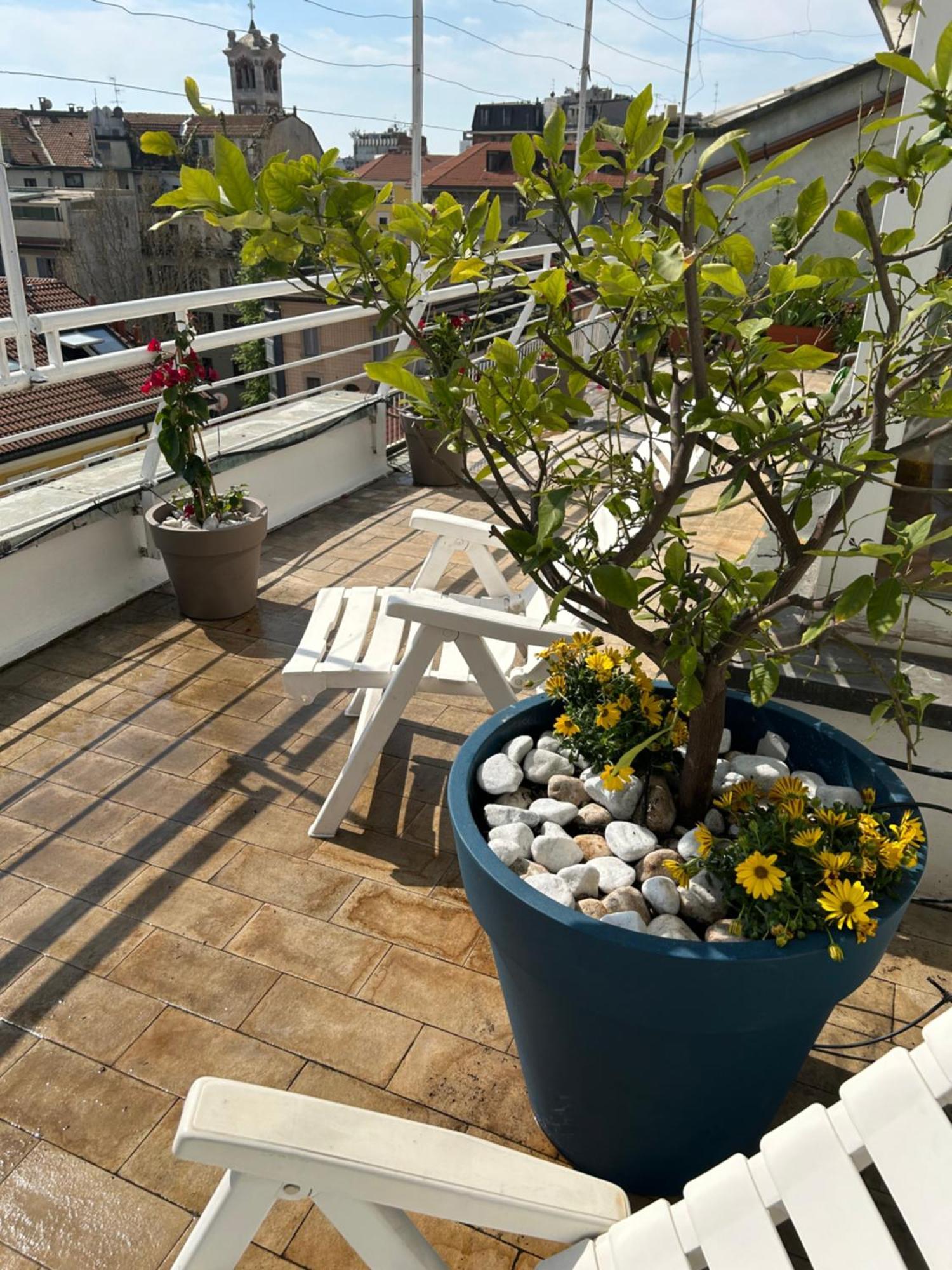 All'arco Exclusive With Terrace